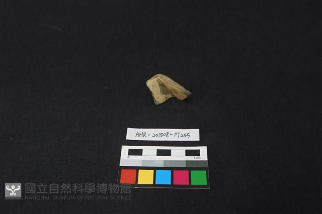 陶片藏品圖，第2張