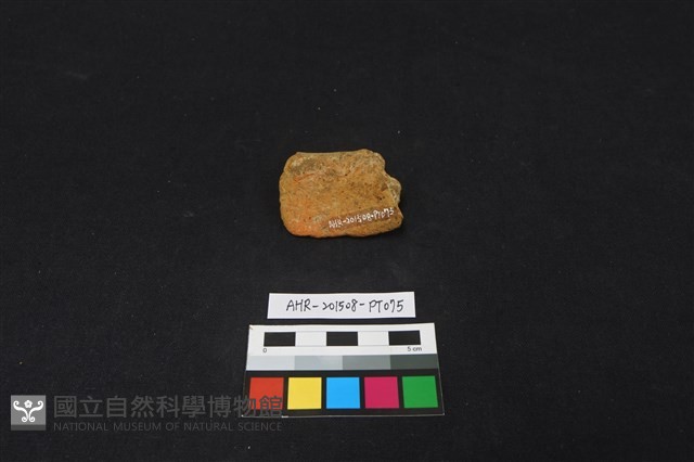 陶片藏品圖，第2張