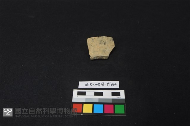 陶片藏品圖，第2張