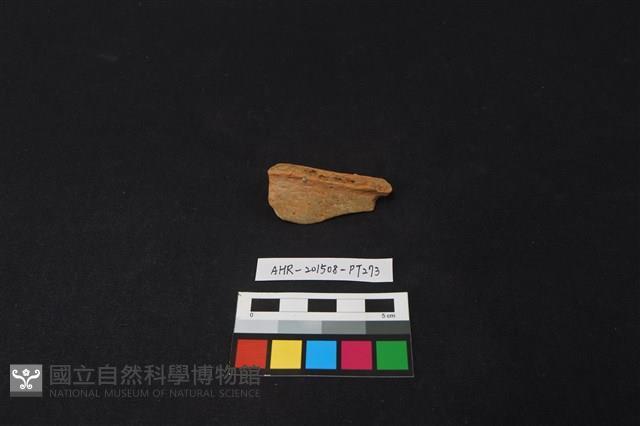 陶片藏品圖，第2張