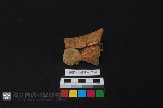 陶片藏品圖，第2張