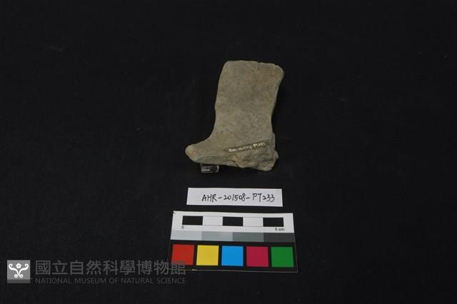 陶片藏品圖，第2張