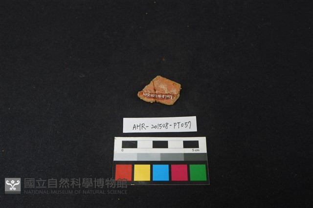 陶片藏品圖，第2張