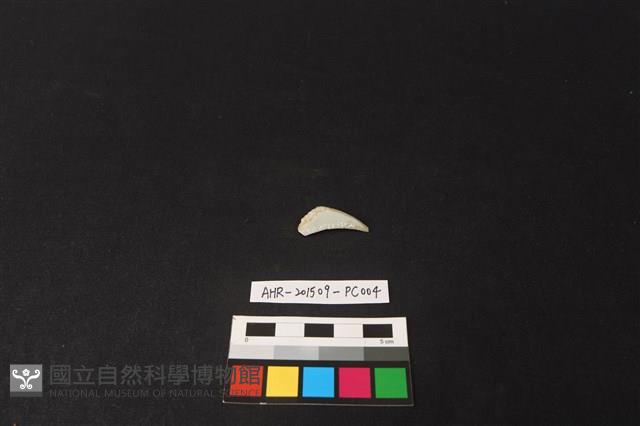 瓷片藏品圖，第2張