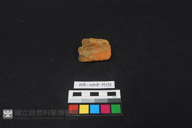 陶片藏品圖，第1張