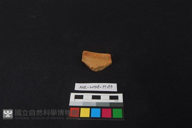陶片藏品圖，第1張