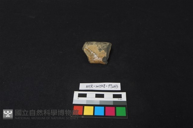 陶片藏品圖，第1張