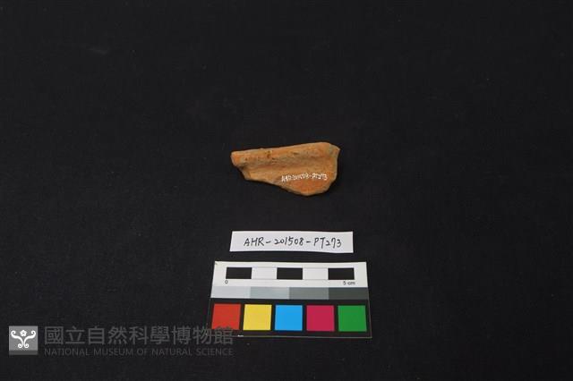 陶片藏品圖，第1張