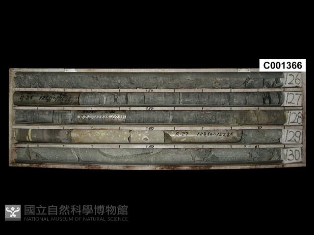 登錄號:C001366藏品圖，第1張