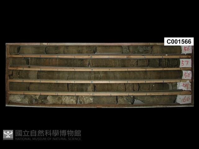 登錄號:C001566藏品圖，第1張