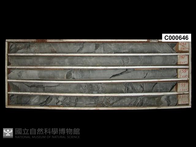 登錄號:C000646藏品圖，第1張