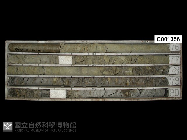 登錄號:C001356藏品圖，第1張