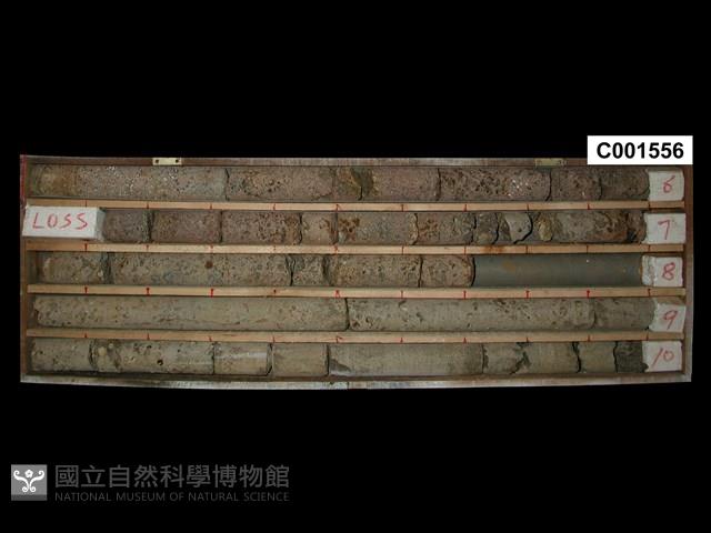 登錄號:C001556藏品圖，第1張