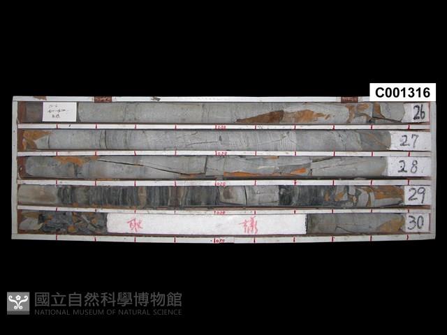 登錄號:C001316藏品圖，第1張