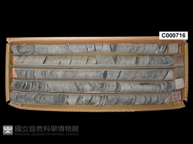 登錄號:C000716藏品圖，第1張