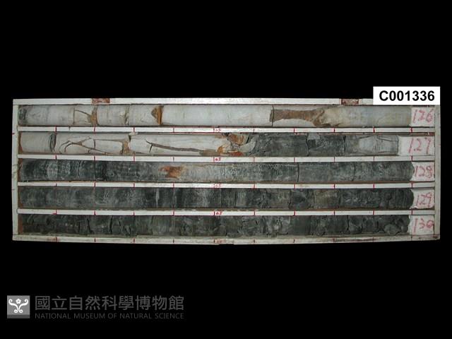 登錄號:C001336藏品圖，第1張