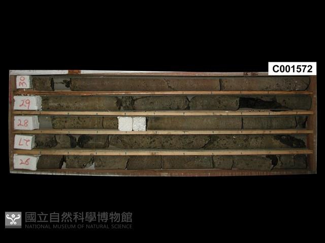 登錄號:C001572藏品圖，第1張