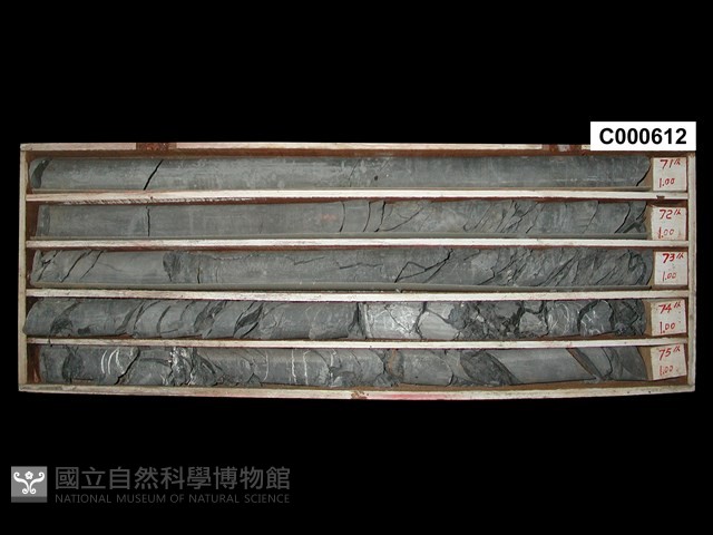 登錄號:C000612藏品圖，第1張