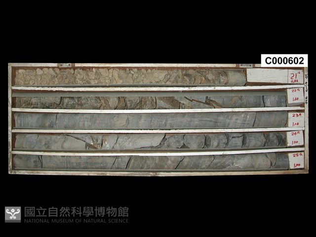 登錄號:C000602藏品圖，第1張