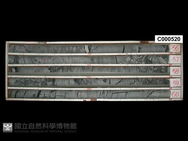 登錄號:C000520藏品圖，第1張