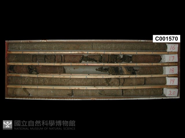 登錄號:C001570藏品圖，第1張