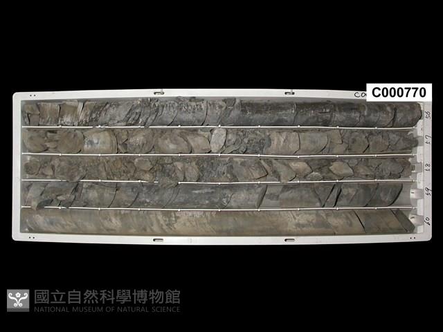 登錄號:C000770藏品圖，第1張