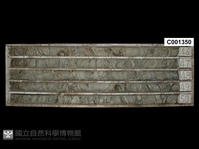 登錄號:C001350藏品圖，第1張