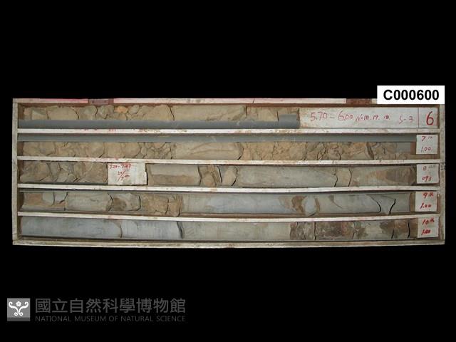 Accession Number:C000600 Collection Image, Figure 1, Total 2 Figures