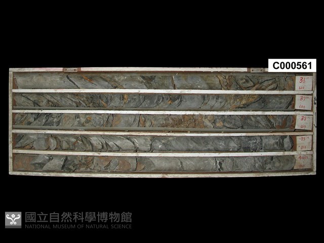 登錄號:C000561藏品圖，第1張