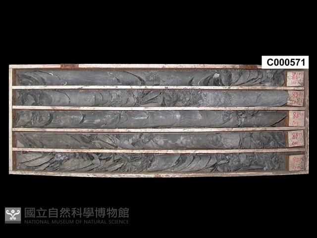 登錄號:C000571藏品圖，第1張