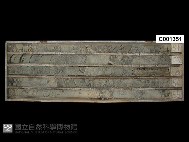 登錄號:C001351藏品圖，第1張