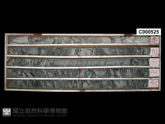 登錄號:C000525藏品圖，第1張