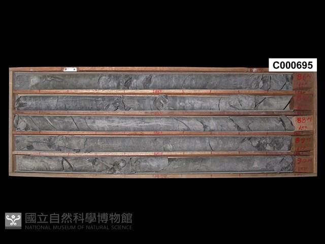 登錄號:C000695藏品圖，第1張