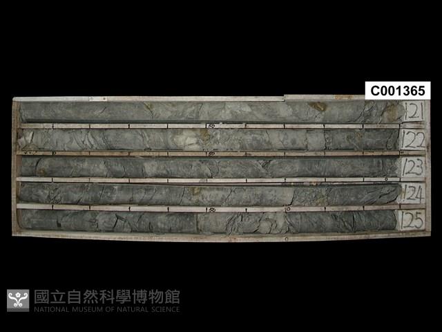 登錄號:C001365藏品圖，第1張