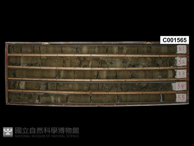 登錄號:C001565藏品圖，第1張