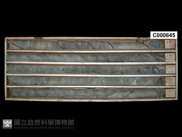 登錄號:C000645藏品圖，第1張