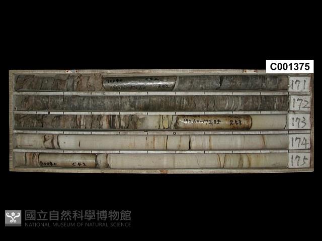 登錄號:C001375藏品圖，第1張