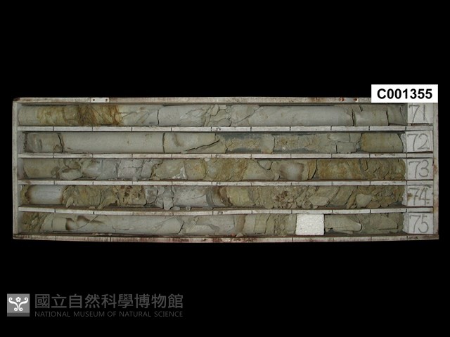 登錄號:C001355藏品圖，第1張