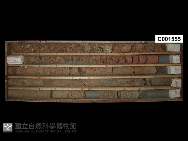 登錄號:C001555藏品圖，第1張