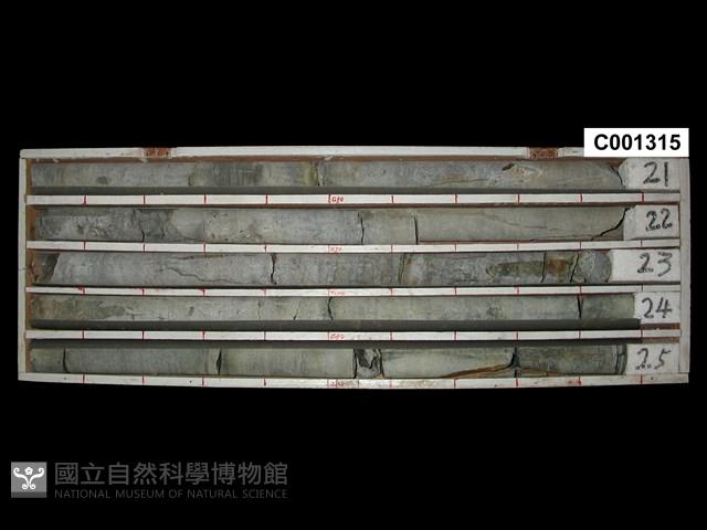 登錄號:C001315藏品圖，第1張