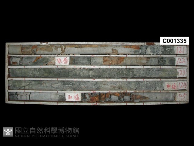 登錄號:C001335藏品圖，第1張