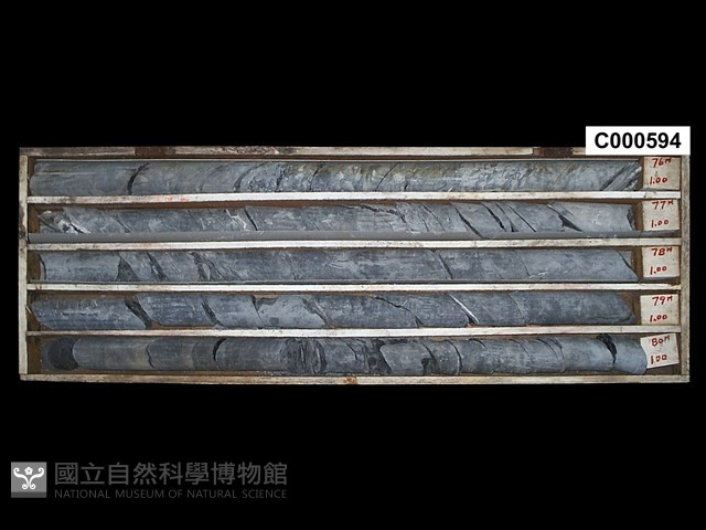 登錄號:C000594藏品圖，第1張