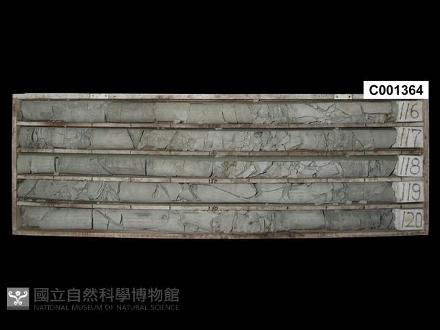 登錄號:C001364藏品圖，第1張