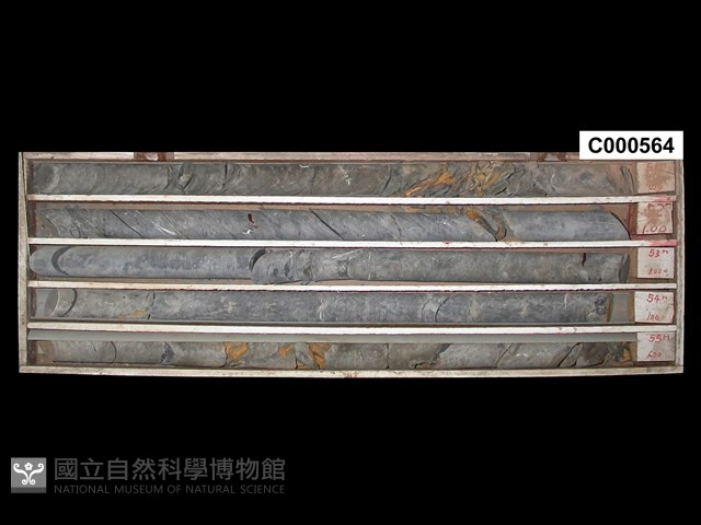 登錄號:C000564藏品圖，第1張