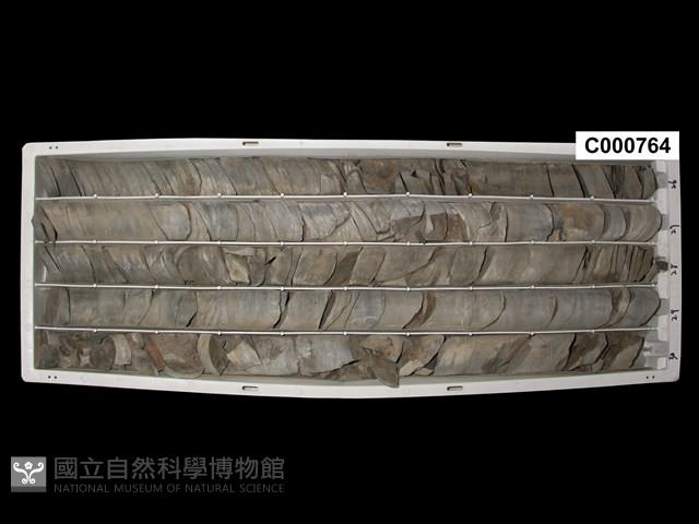 Accession Number:C000764 Collection Image, Figure 1, Total 2 Figures