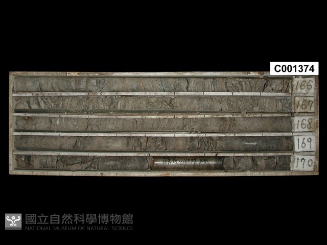登錄號:C001374藏品圖，第1張