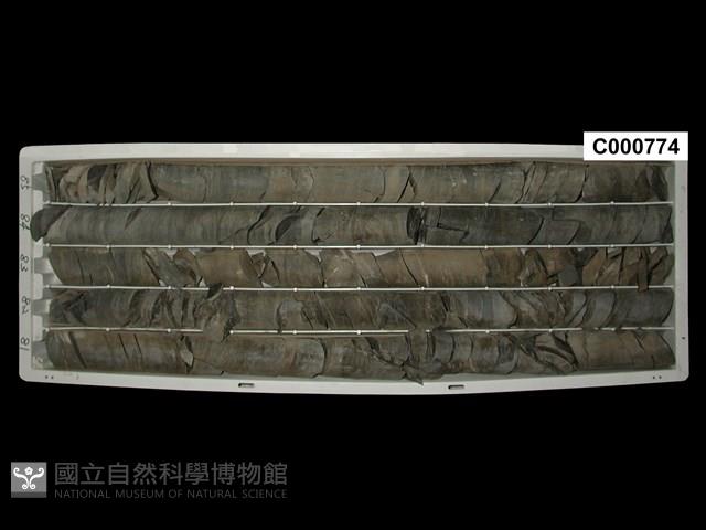 登錄號:C000774藏品圖，第1張