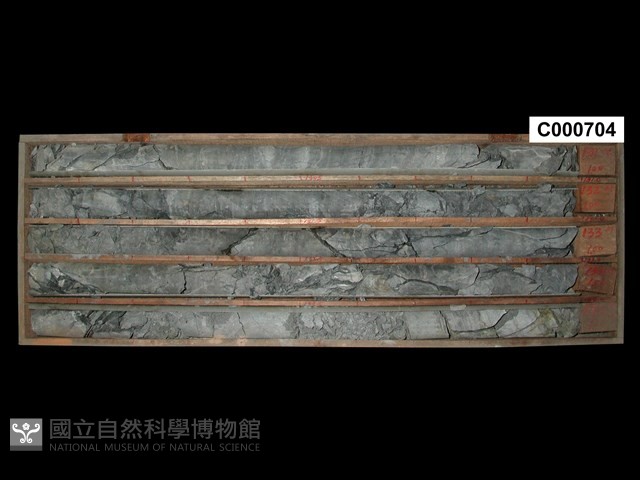 登錄號:C000704藏品圖，第1張