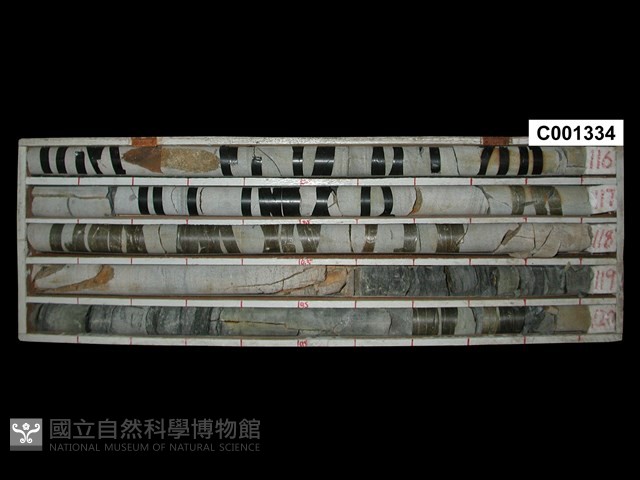 登錄號:C001334藏品圖，第1張