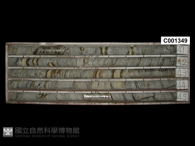 登錄號:C001349藏品圖，第1張